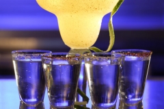 JW Margarita Trece