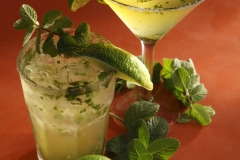 JW Mojito 26