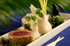 JW _Tuna_Sp_Roll_Seaweed_139