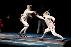 Fencing_001
